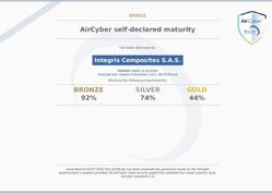cyber security bronze cyber security bronze